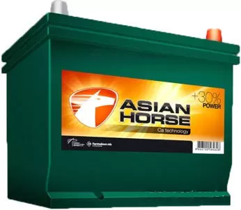 Asian Horse (70 A/h), 630A R+