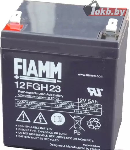 Fiamm 12FGH23 (5 A/h), 12V ИБП