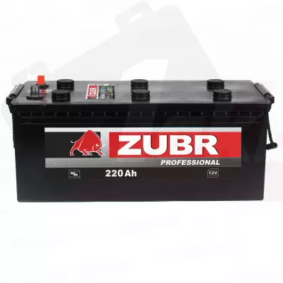 Zubr Professional (220 A/h), 1300A R+ корпус как у 190 A/h под болт, для МАЗ