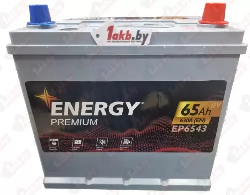 Energy Premium Asia EP6543 (65 A/h), 630A R+