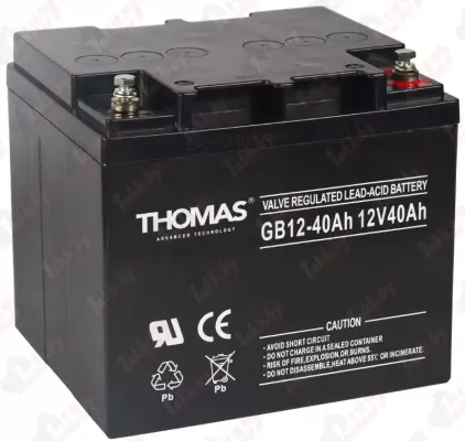 Аккумулятор Thomas AGM (65 A/h), 12V ИБП