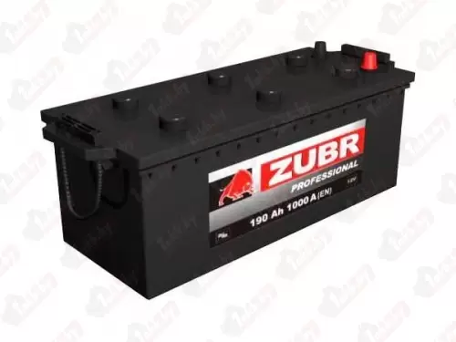 Zubr Professional (220 A/h), 1300А R+