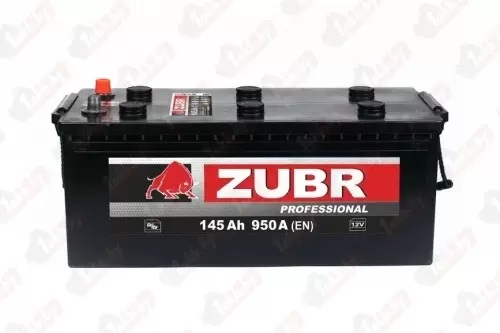 ZUBR Professional (120 A/h) L+ грузовая