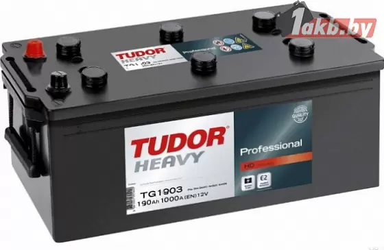 Tudor Professional TG1905 (190 A/h), 1000A L+