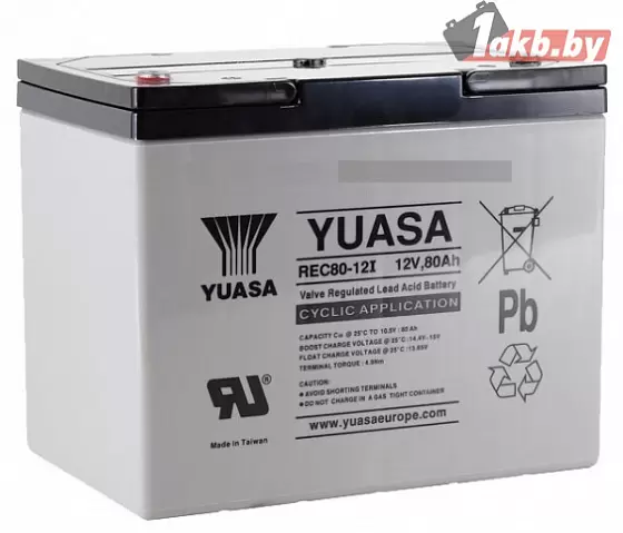 Yuasa Rec80-12 (80 A/h)