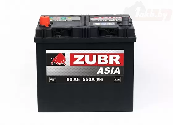 ZUBR Ultra ASIA (60 A/h), 550А R+