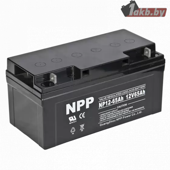 Аккумулятор NP (65 A/h), 12V ИБП