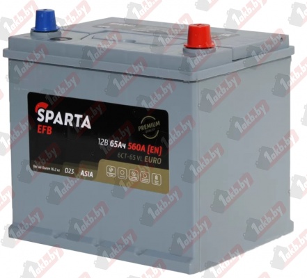 SPARTA EFB Asia (65 A/h), 560A R+