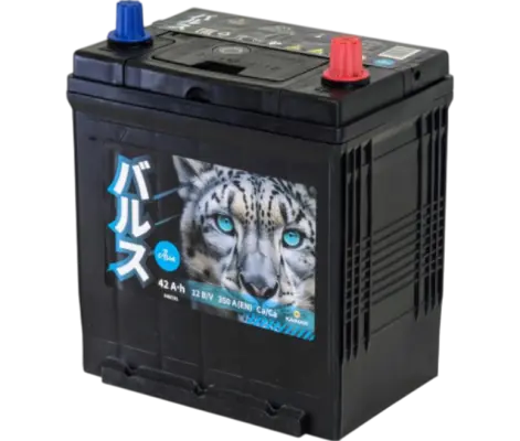 BARS Asia (42 А/h), 350A R+