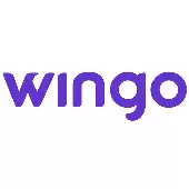 Аккумуляторы для Электромобилей WINGO