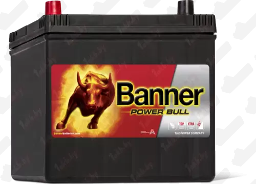 Banner Power Bull Asia p P6069 (60 A/h), 510A L+