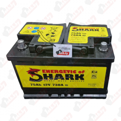 Shark (74 A/h), 700A R+ низ.