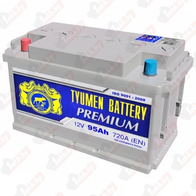 TYUMEN BATTERY PREMIUM AGM (95 A/h), 800A R+