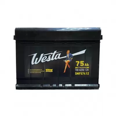 Westa Black Asia (75 A/h), 700A R+