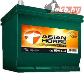 Asian Horse (60 A/h), 540A R+