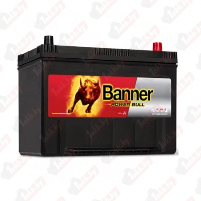 Banner Power Bull Asia e P9504 (95 A/h), 740А R+