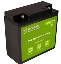 EVOLISUN LiFePO4 для ИБП (30 A/h), 12.8V