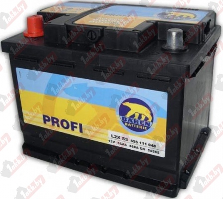 Baren Profi (55 A/h), 480А R+ 7905681