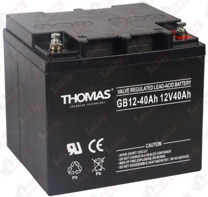 Аккумулятор для ИБП Thomas AGM (65 A/h), 12V