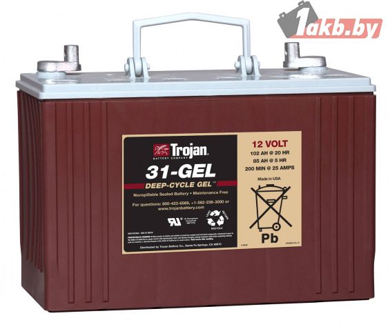 TROJAN 31-GEL