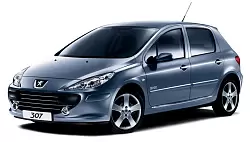 Масла Peugeot 307 1 поколение, вкл.рестайлинг (2001-2007)