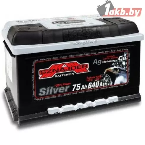 Sznajder Silver (75 A/h), 640A R+