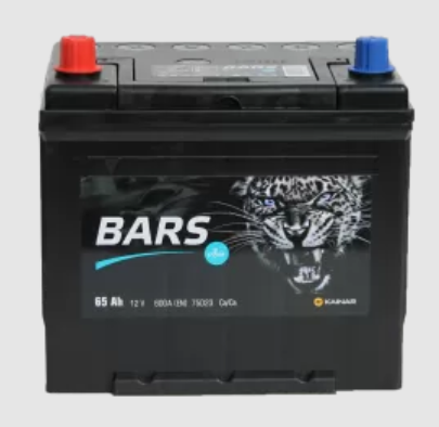 BARS Asia (65 А/h), 600A L+