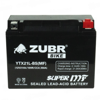 ZUBR AGM YTX21L-BS (21 A/h), 250A R+