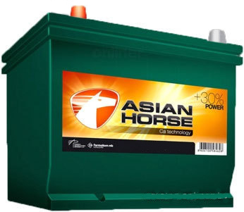 Asian Horse (60 A/h), 540A L+