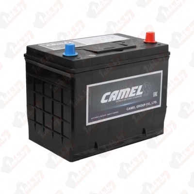 CAMEL Asia EFB (70 A/h), 645A R+