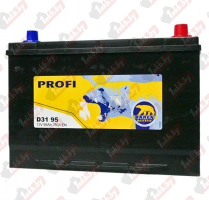 Baren Profi JIS (95 A/h), 760А R+ 7905699