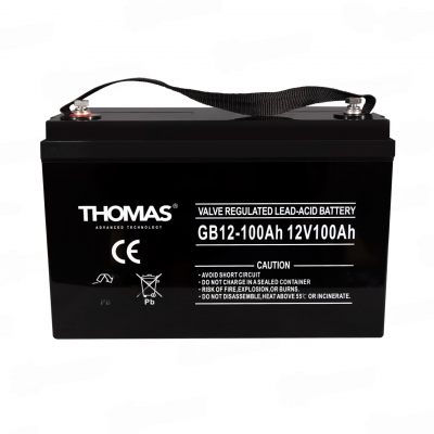 Аккумулятор для ИБП Thomas GB 12-100 12V (100 A/h)