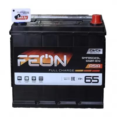 Feon Asia (65 A/h), 550A R+