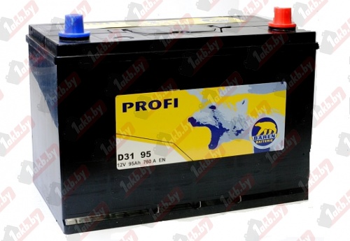 Baren Profi JIS (95 A/h), 760А R+ 7905699