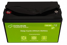 Аккумулятор EVOLISUN LiFePO4 для ИБП (100 A/h), 12.8V