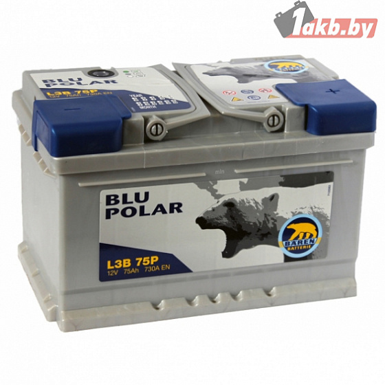 Baren polar Blu (75 A/h), 730A R+ 7905629