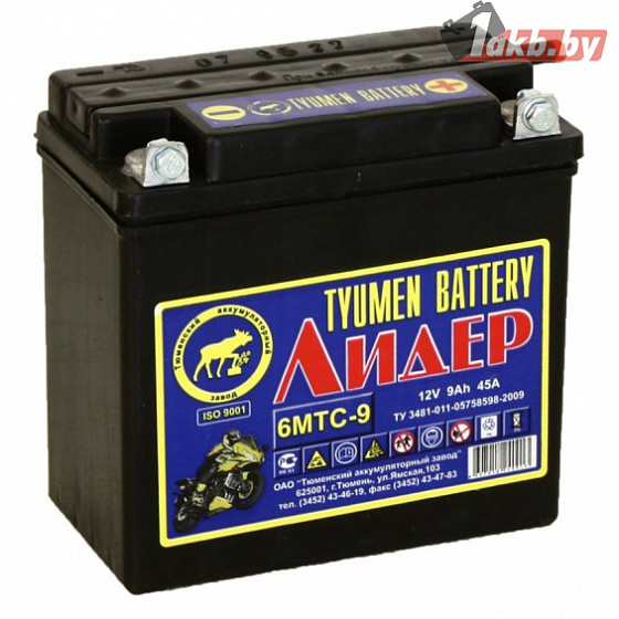 TYUMEN Battery 6МТС-9 R+