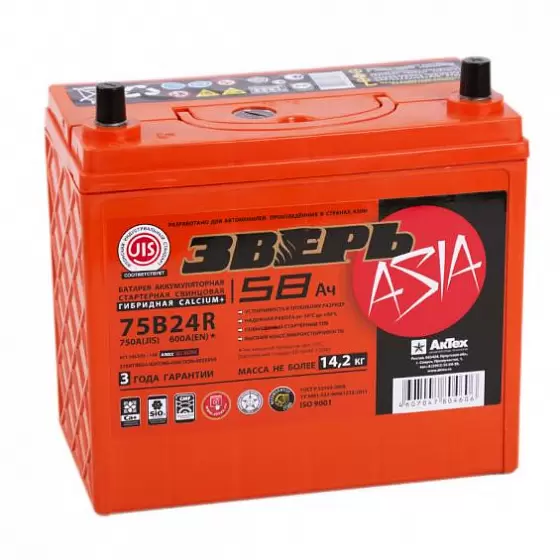 Зверь 75B24R