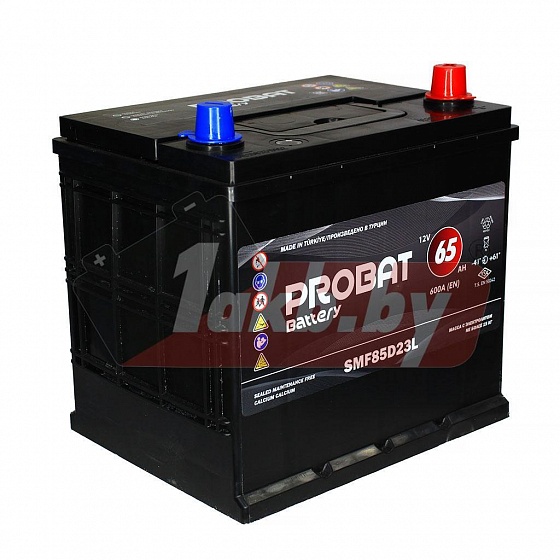 Probat Asia (65 A/h), 600A R+