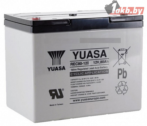 Аккумулятор для ИБП Yuasa Rec80-12 (80 A/h)