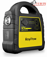 Зарядное устройство RoyPow J301